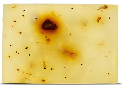 Beloved Veganes Shampoo Für Haustiere Der Beloved Bar